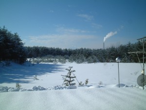 DSCF0063